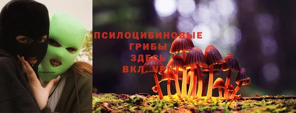 стаф Дмитров