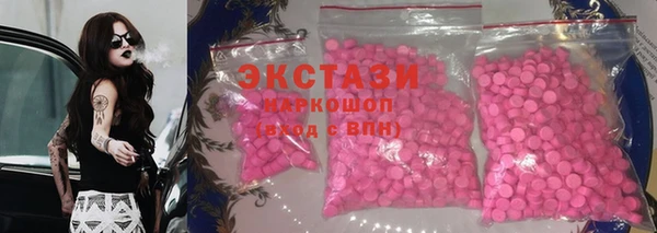 стаф Дмитров