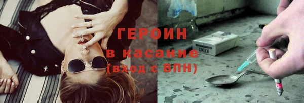 стаф Дмитров