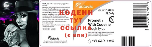 МДПВ Дмитриев