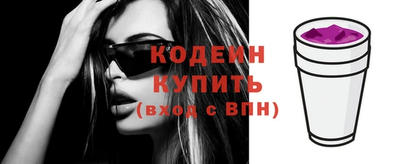 стаф Дмитров