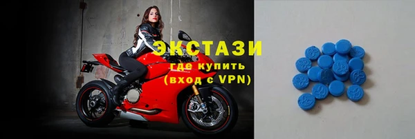 стаф Дмитров