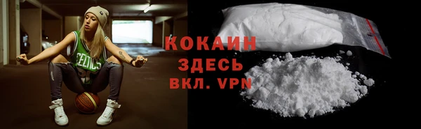 стаф Дмитров