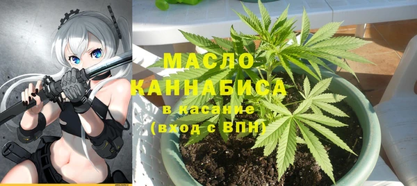 стаф Дмитров