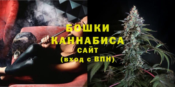 МДПВ Дмитриев