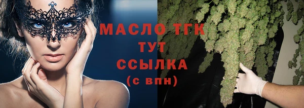 стаф Дмитров